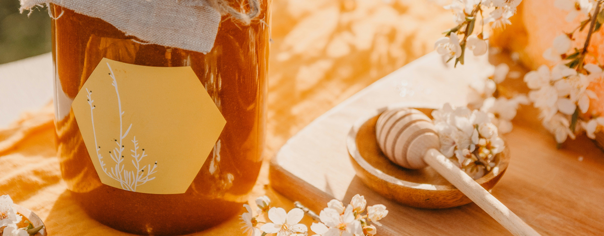 Секция с изображением